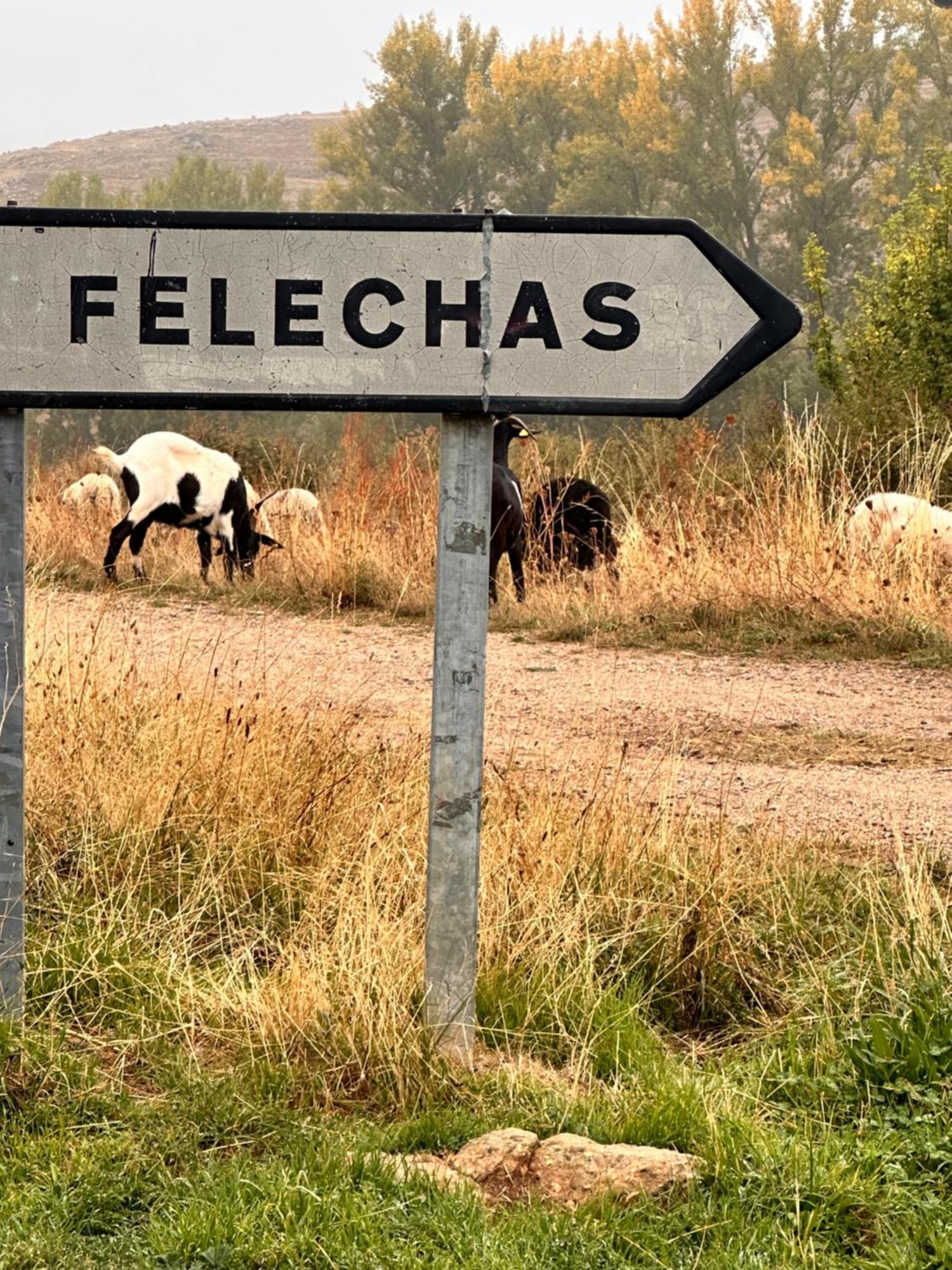 Los Tres Horreos Felechas Exterior photo